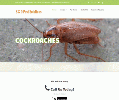 B & D Pest Solutions Exterminator Service Staten Island, New York