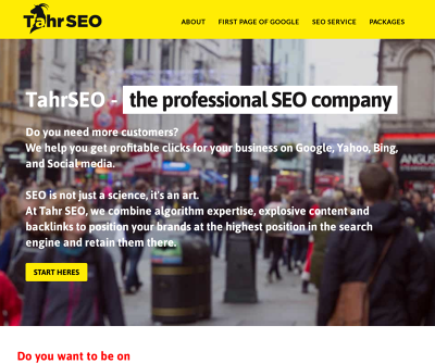 Professional SEO Company
