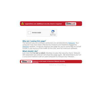 Organic Clicks: Your Partner in Online Growth