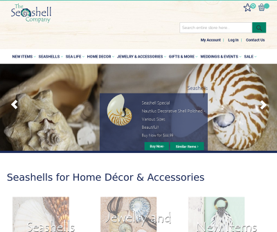 Your Ultimate Destination for Beautiful Seashells and Coastal Decor