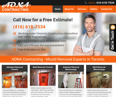 Mould Removal Experts in Toronto