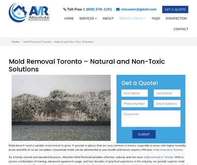 Spotlight on Ventilation: How Proper Ventilation Can Prevent Attic Mold