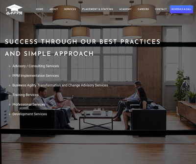 Project portfolio management consulting
