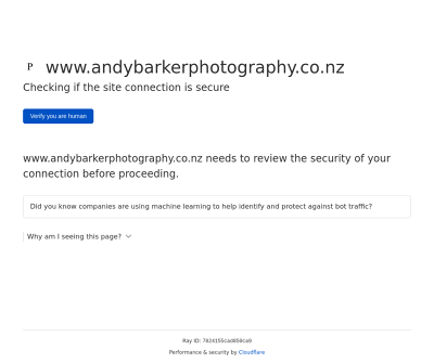 Website