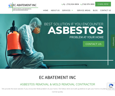 Mold Abatement Queens