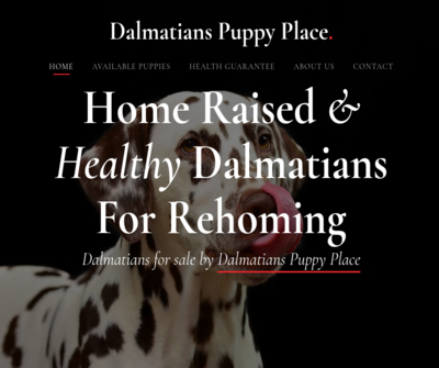 dalmatian puppies for sale