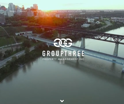 Website
