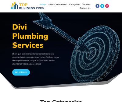 Top Business Pros