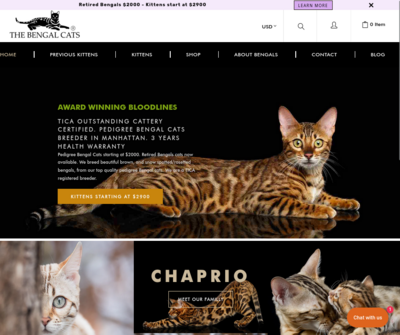 The Bengal Cats