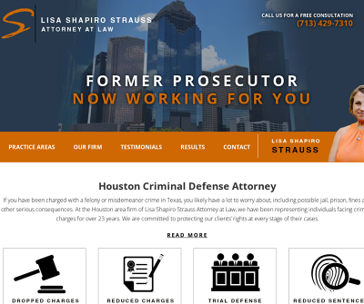 Lisa Shapiro Strauss Attorney at Law