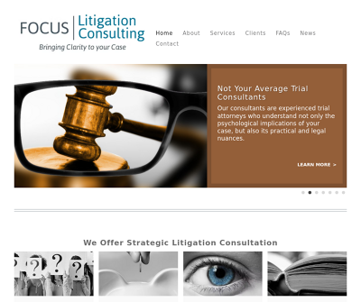 Focus Litigation Consulting LLC