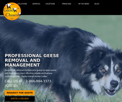Safe and Humane Geese Control with Geese Chasers: