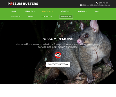 Possum Busters - Possum Removal - Narraweena