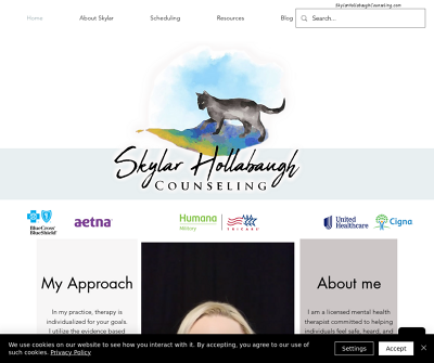 Skylar Hollabaugh Counseling