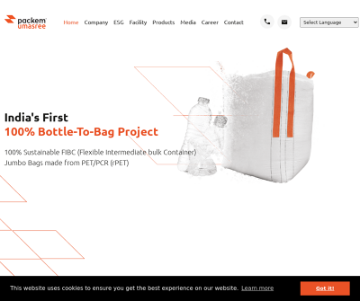 rPET FIBC, Big Bag, Jumbo Bags, Super Sacos | Packem Umasree