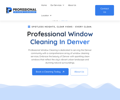 Professional Window Cleaning