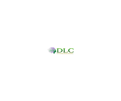 Dynamic Leadership Coaching