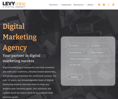 Levy Online | Las Vegas Digital Marketing Agency
