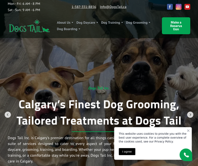DogsTailInc.