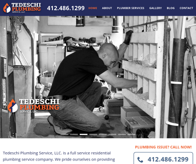 tedeschiplumbing.com