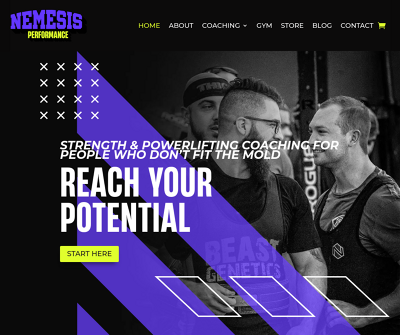 Nemesis Performance