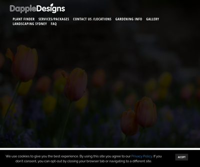 Dapple Landscape Design - Landscape Design Sydney