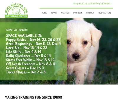 Who's Walking Who Dog Training