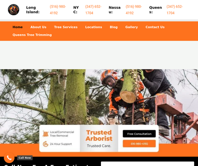 Timber Wood Tree Service