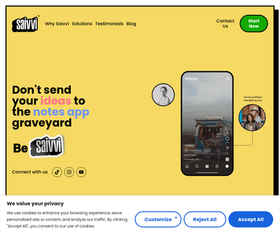 saivvi.com