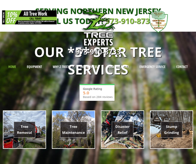 Z Tree Experts