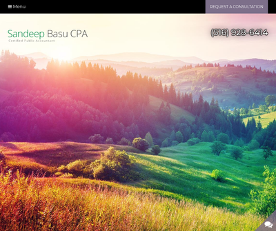 Sandeep Basu CPA