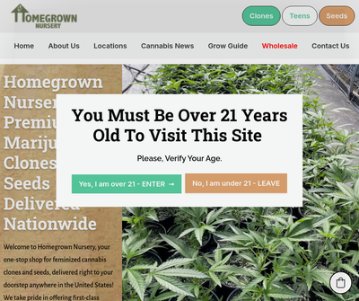 HomeGrown Nursery