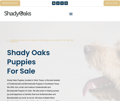 Shady Oaks Puppies