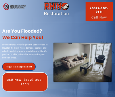 Water Damage Restoration & Mold Remediation Services in Houston