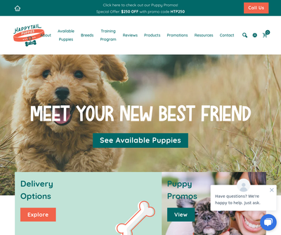 Puppies for Sale | Happytail Puppies | Meet Your New Best Friend