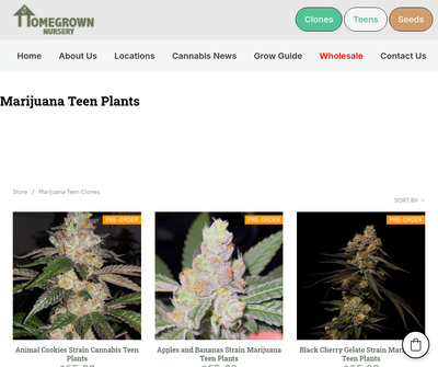 HomeGrown Nursery