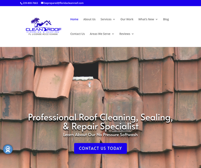 Clean Roof