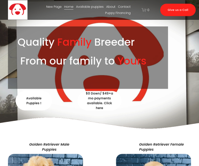 https://www.qualitypuppiesusa.com/