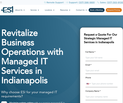 Electronic Strategies, Inc