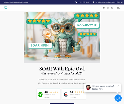 Epic Owl