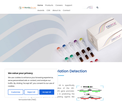 3BBlackBio - MGMT Methylation PCR | MGMT Methylation Detection Kit | MGMT Promoter Methylation