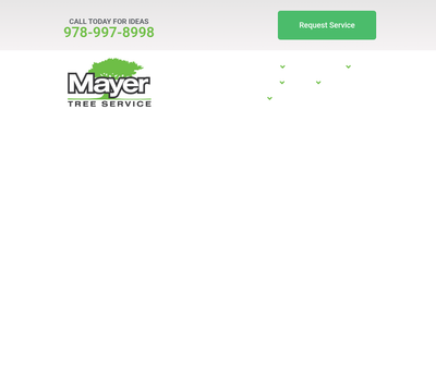 Questions to Ask Before Hiring Tree Service Experts 