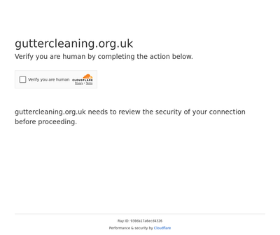 Gutter Cleaning