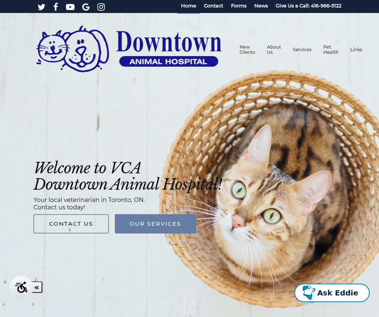 Downtown Animal Hospital