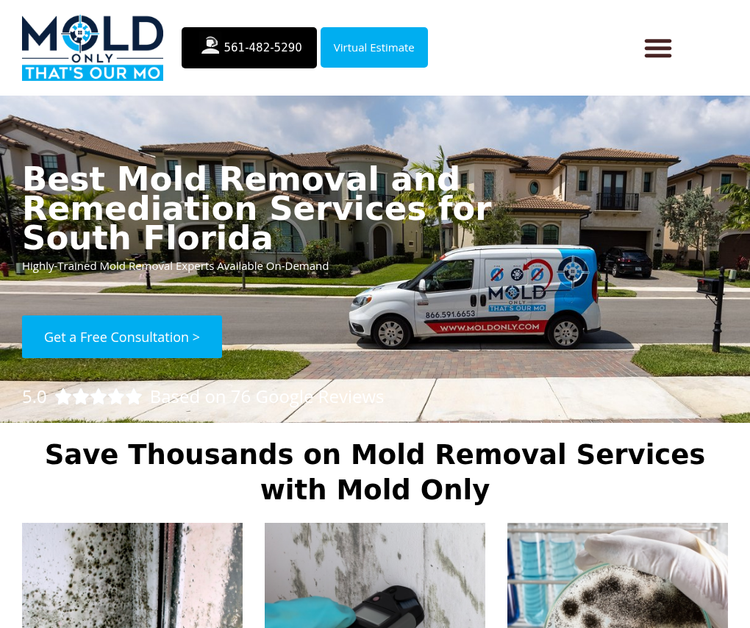 Mold Only