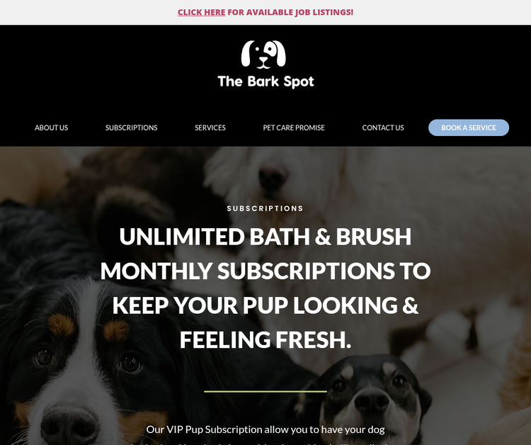 Dog Day Care Center in Logan, Utah