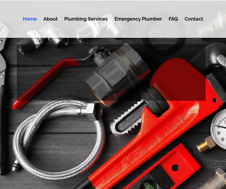 Premier Rooter Plumbing and Drain Services