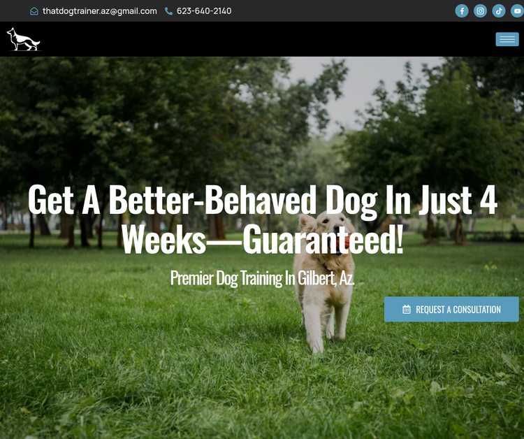 That Dog Trainer