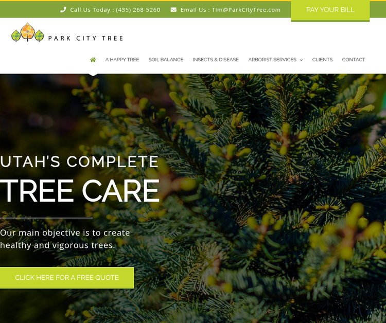 Park City Tree