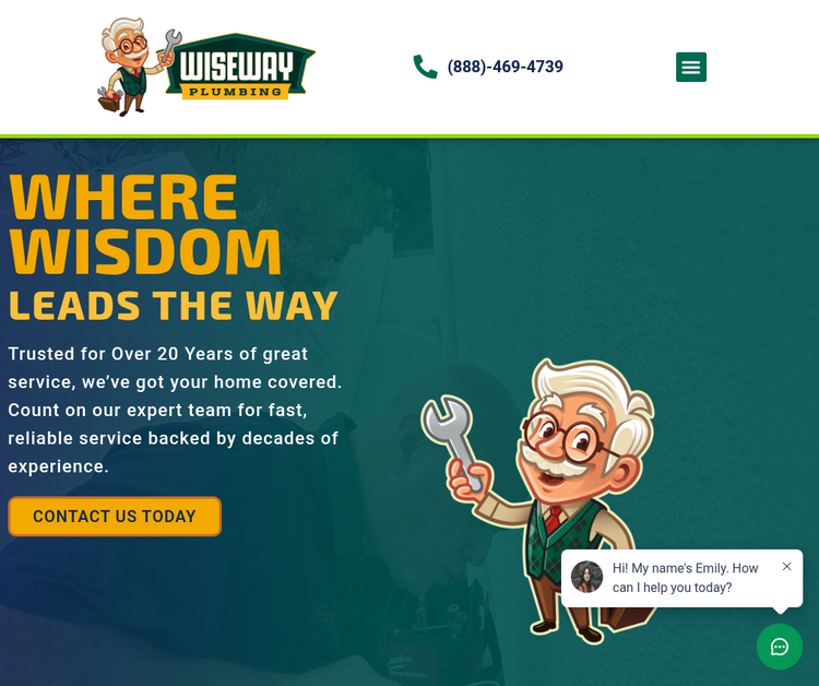 WiseWay Plumbing